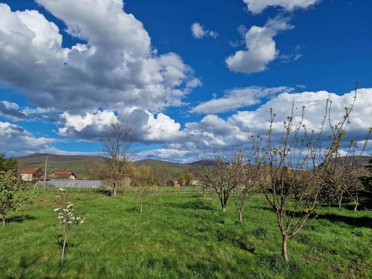 Ferienwohnung Gorica-Bistrica Exterior foto